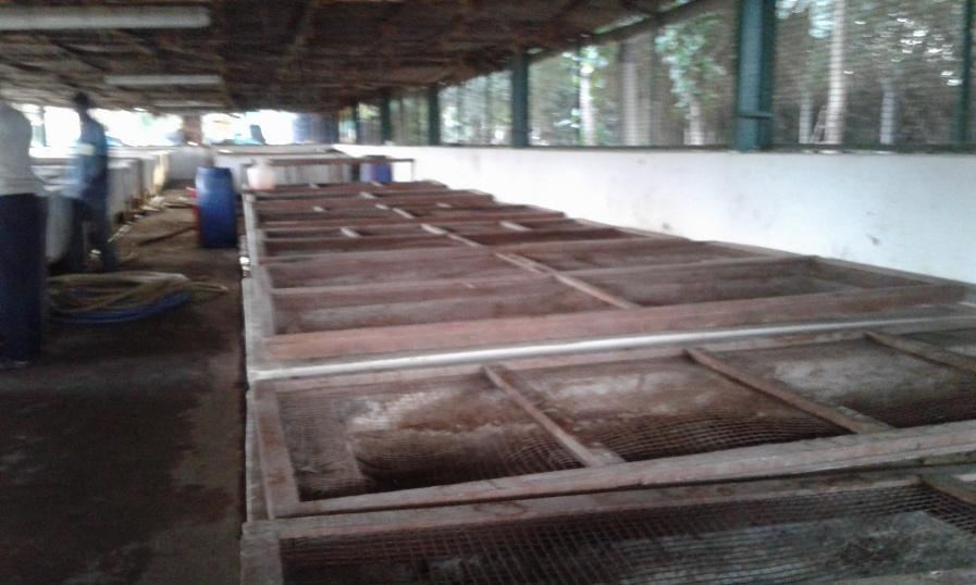 Two household biogas plant units, green and blue